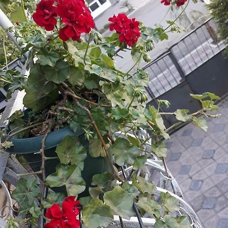 Homestay Izolda Batoemi Buitenkant foto