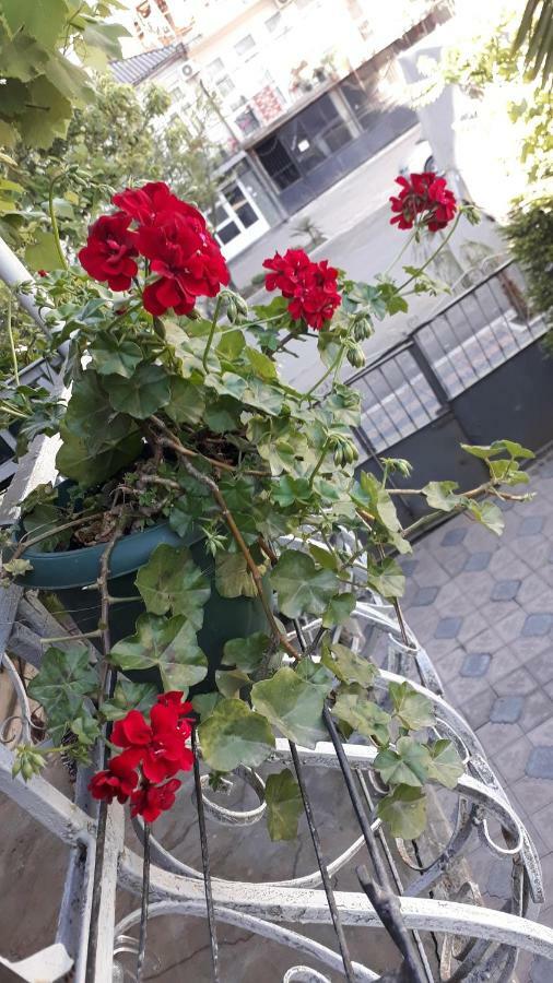 Homestay Izolda Batoemi Buitenkant foto
